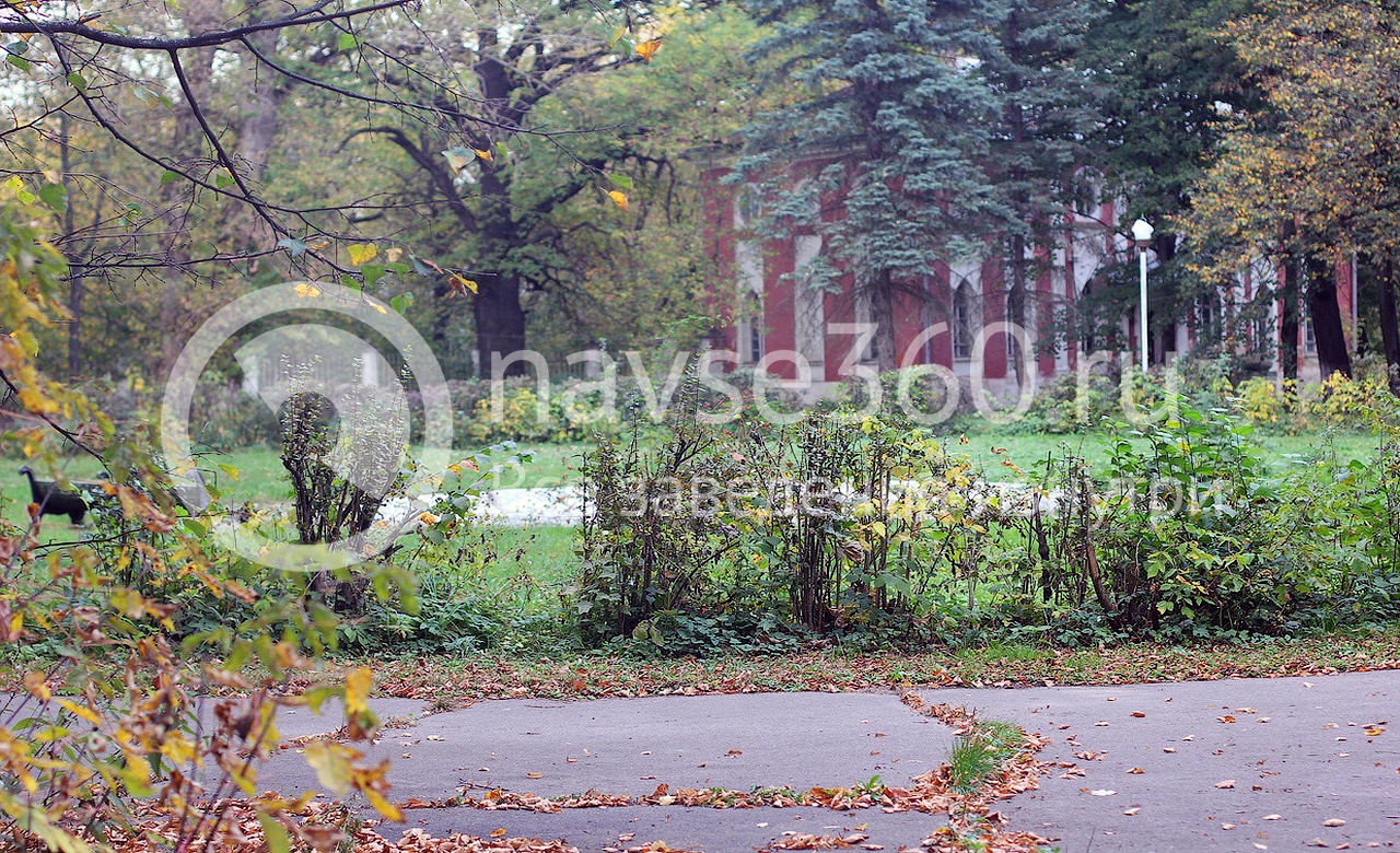 парк усадьбы петровское