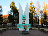 Памятник военным медикам