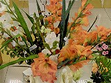 Соцветие, садово-флористический центр