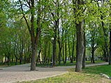 Парк 1100-летия Смоленска