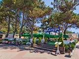 Лазурь, кафе
