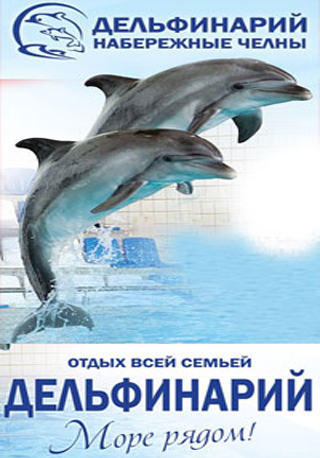 За кулисами дельфинария